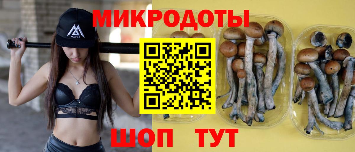 Галлюциногенные грибы Magic Shrooms  Псилоцибиновые грибы мицелий  Советский  Вход с VPN 